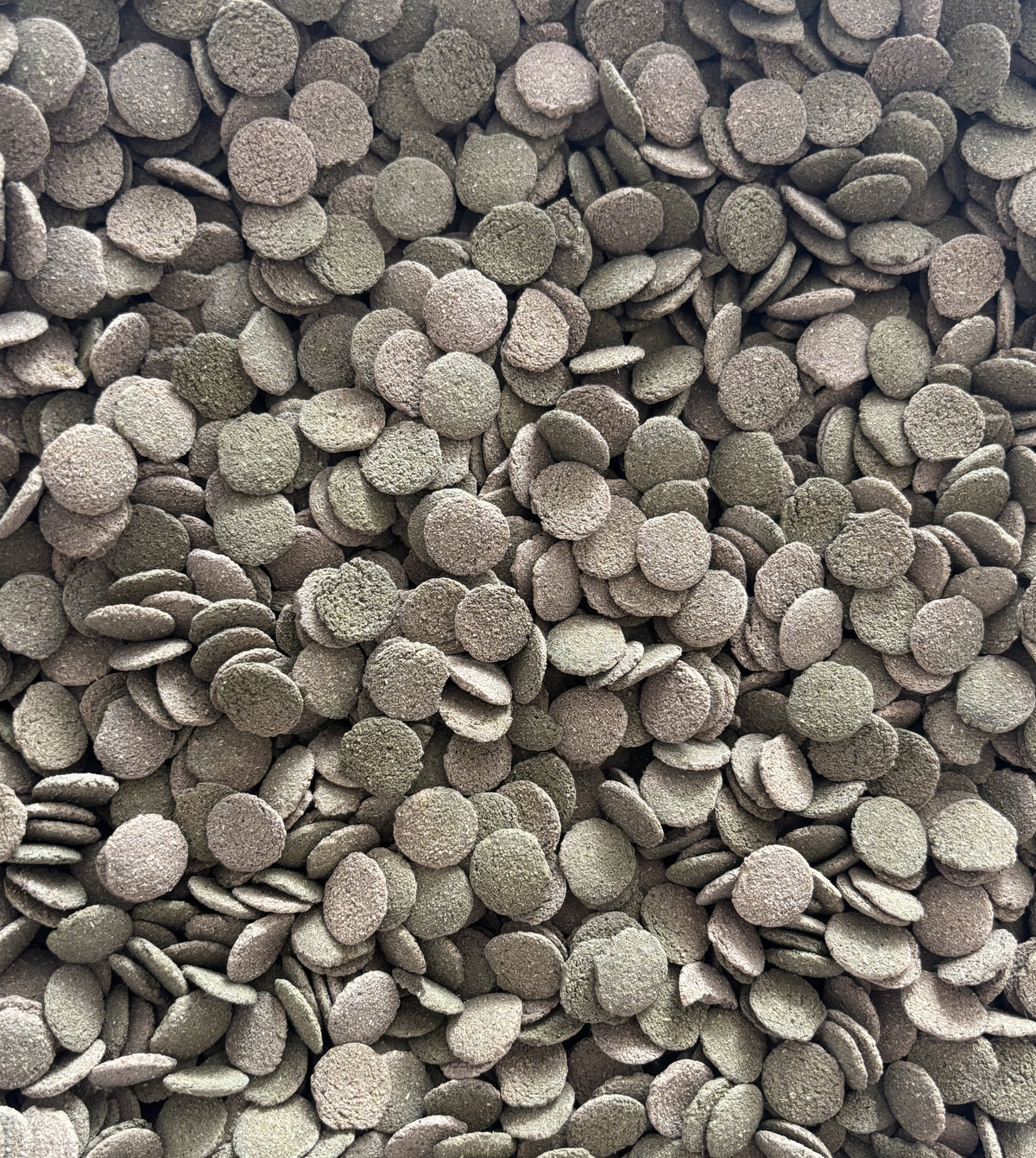 Algen-Wafers 12mm mit 6% Spirulina