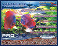 PRO H2O Bioakt. Aquarien-Bodengrund 1-4mm 5L