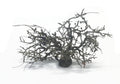 Nano-Bäumchen auf Fuß 10-15cm dunkel