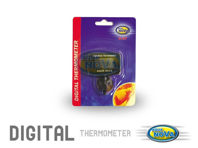 Digital-Thermometer