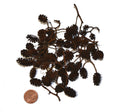 Erlenzapfen 50 g