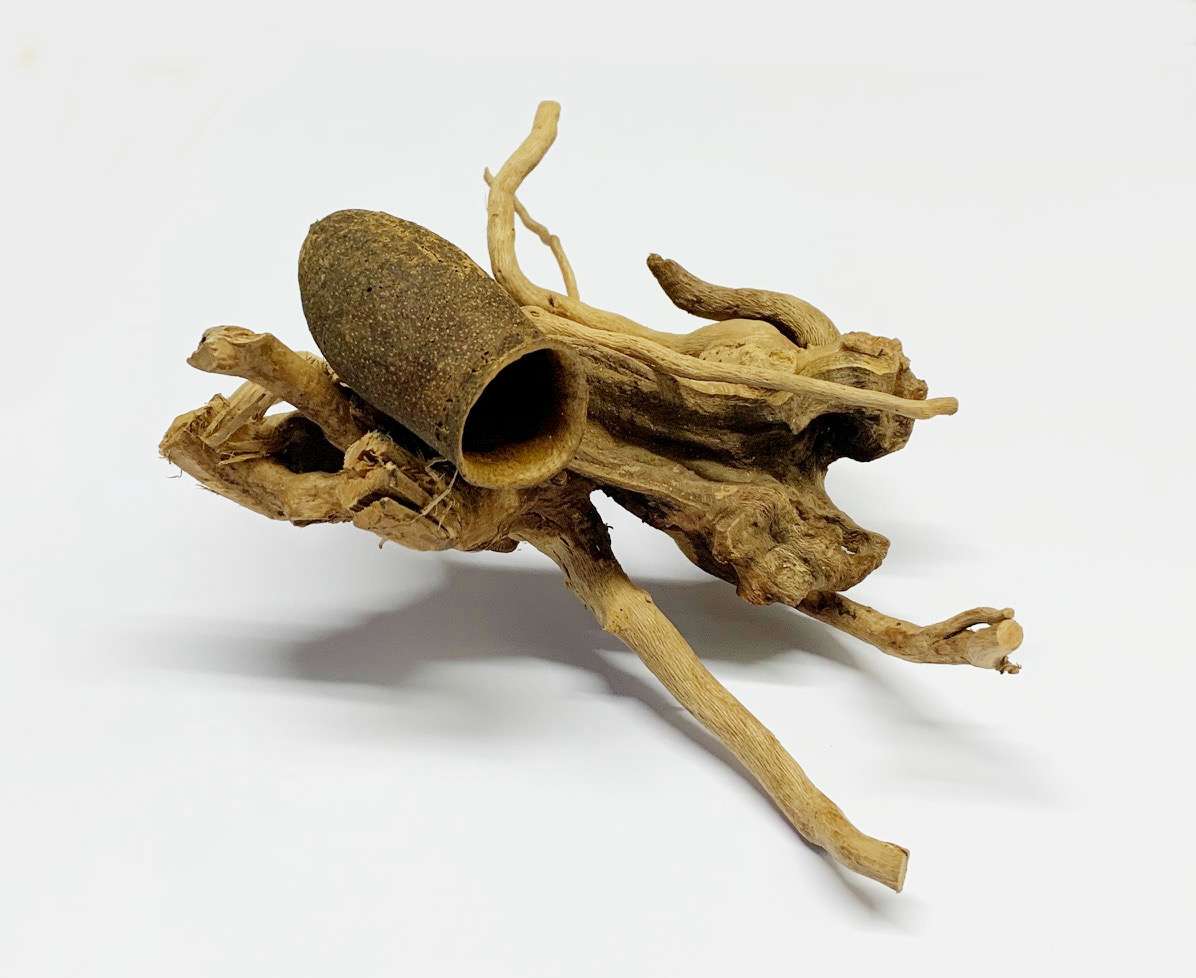 Fingerwood ca. 20cm mit SeraFino Höhle