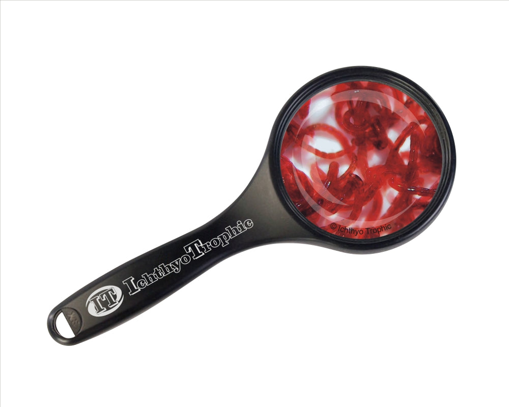 Rote Mückenlarven - Lebendfutter