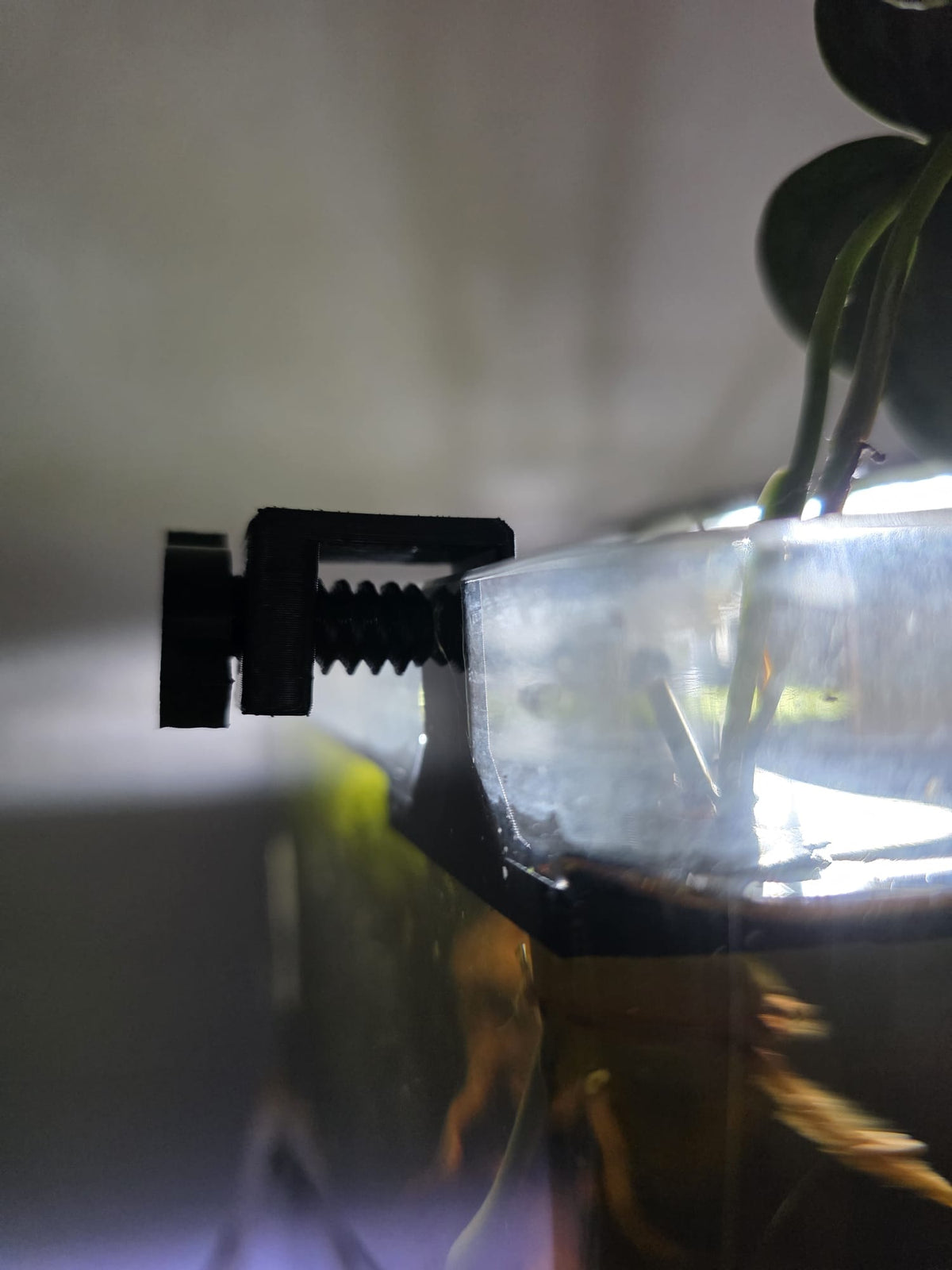 Kiemen Kumpel® Aquarien-Pflanzenhalter mit Klicksystem einfach / Grau
